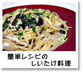 �ʐ^�F�ȒP���V�s�̂�����������