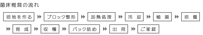 �ۏ��ő��̗���